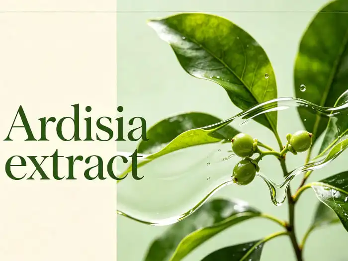 Ardisia Extract for Skin Care Benefits